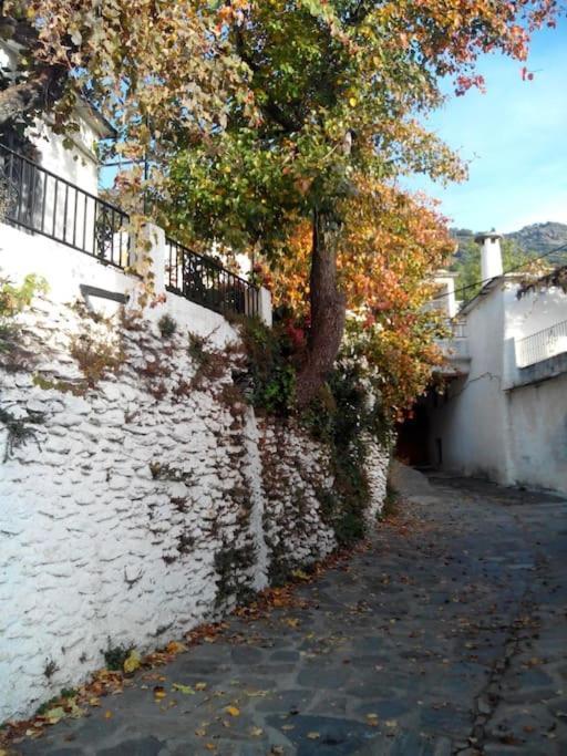 Casa Margarita Villa Bubión Eksteriør bilde